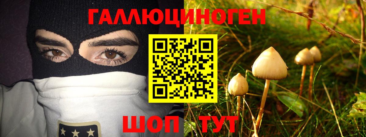 Псилоцибиновые грибы прущие грибы  закладка  Кропоткин  Вход с VPN 
