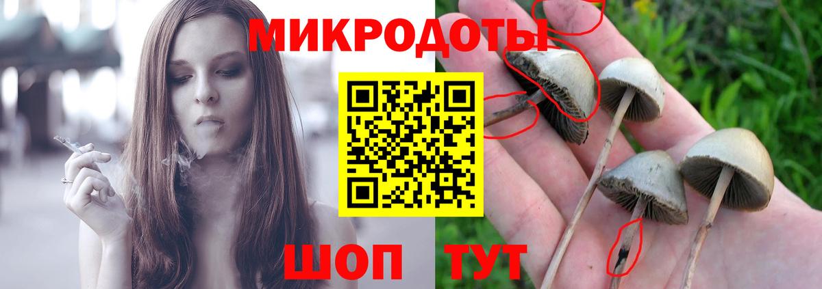 Галлюциногенные грибы прущие грибы Кропоткин
